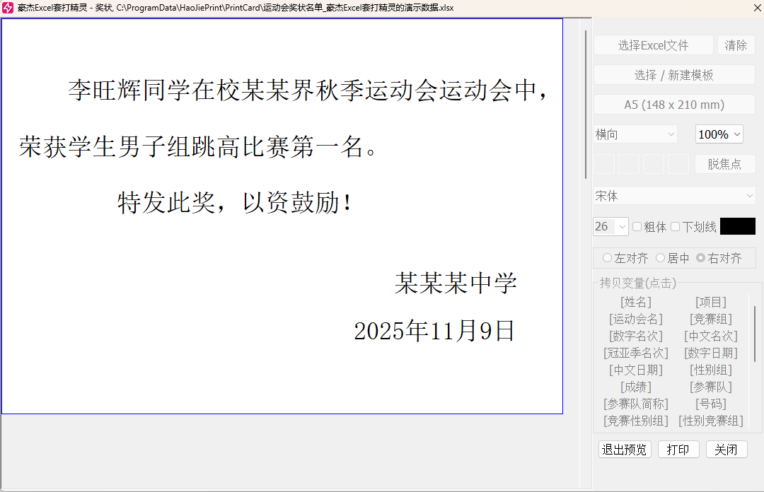 豪杰Excel套打精灵打印预览界面