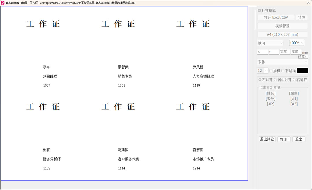 打印标签的预览效果